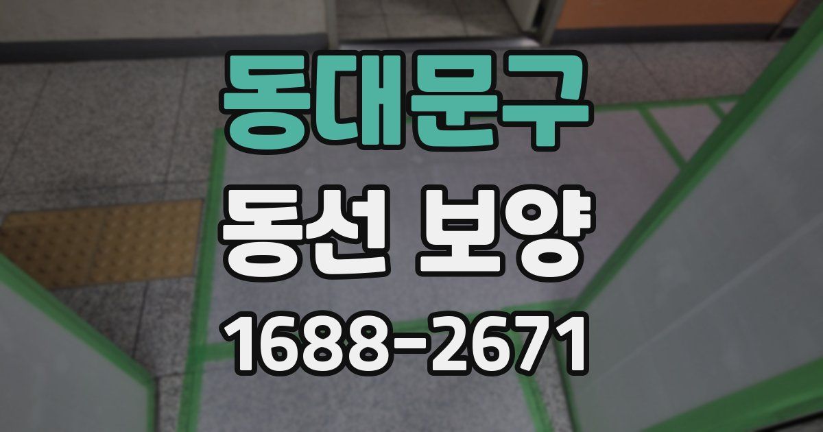 동대문구 동선 보양