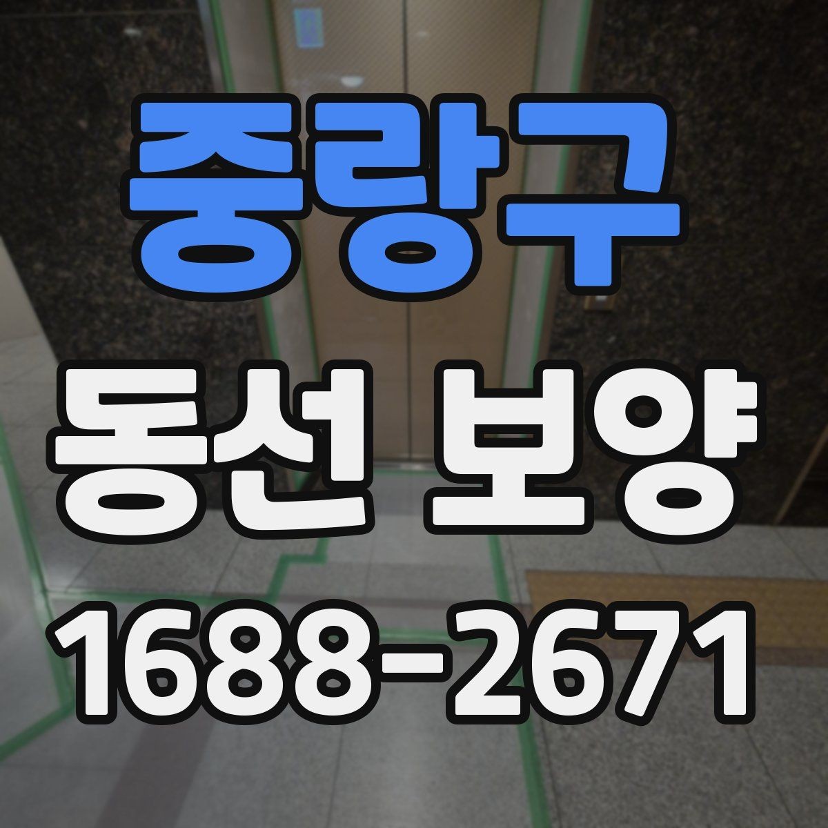 중랑구 동선 보양 현장별로 달라지는 작업 포인트