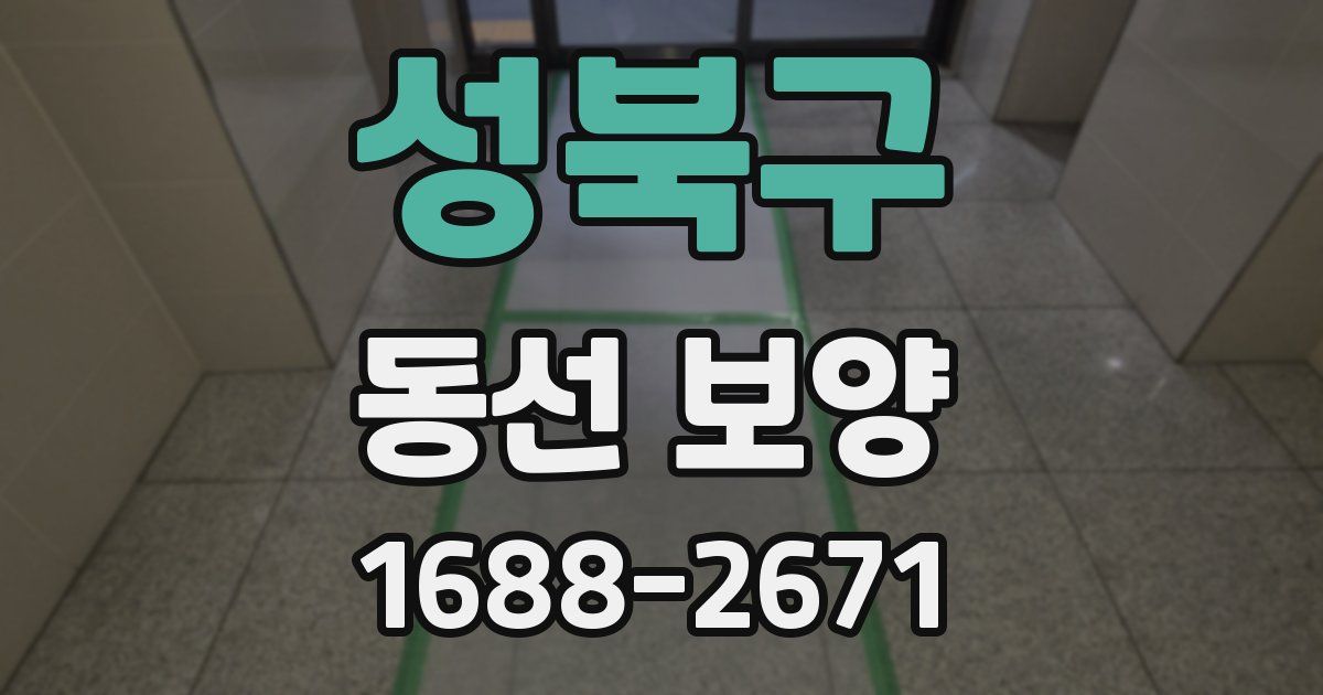 성북구 동선 보양