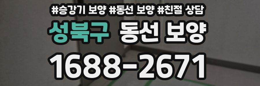 성북구 동선 보양
