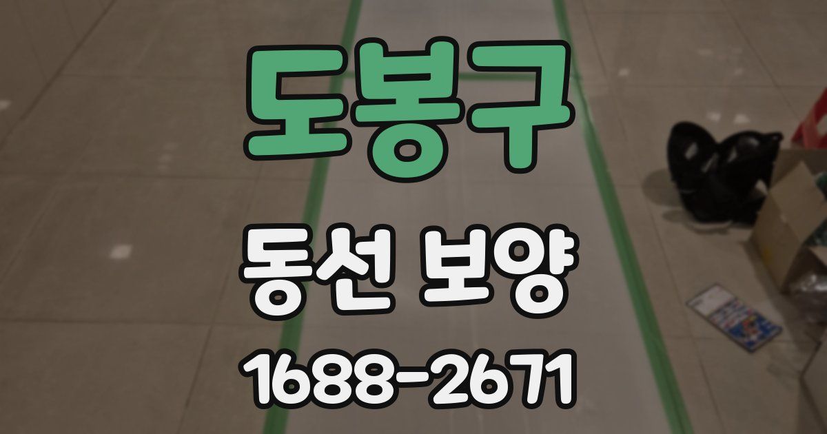 도봉구 동선 보양