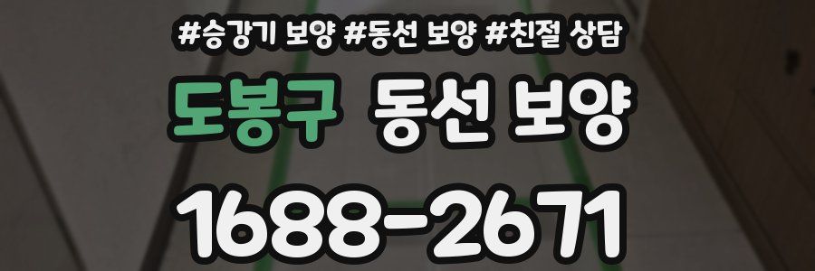 도봉구 동선 보양