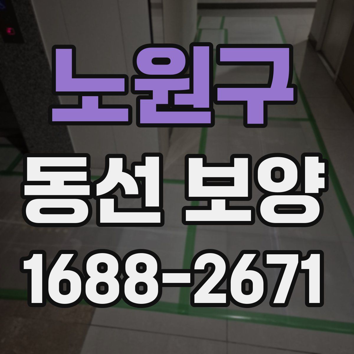 노원구 동선 보양