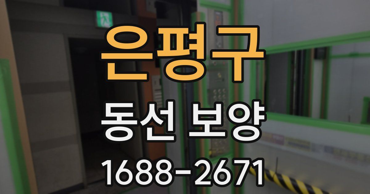 은평구 동선 보양