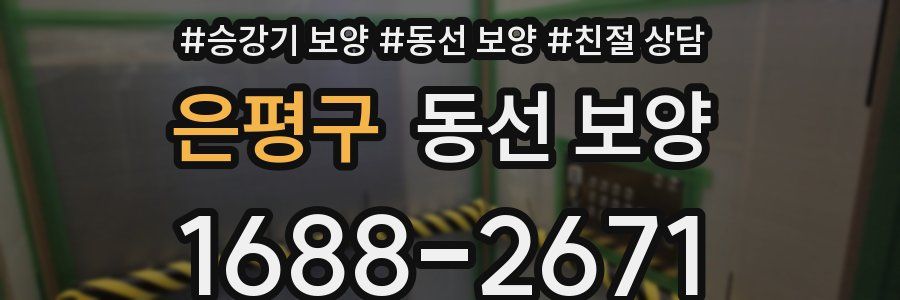 은평구 동선 보양