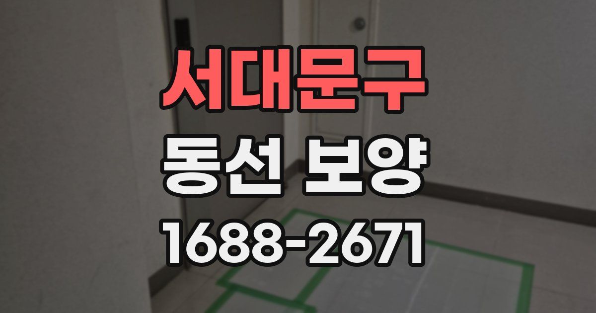 서대문구 동선 보양