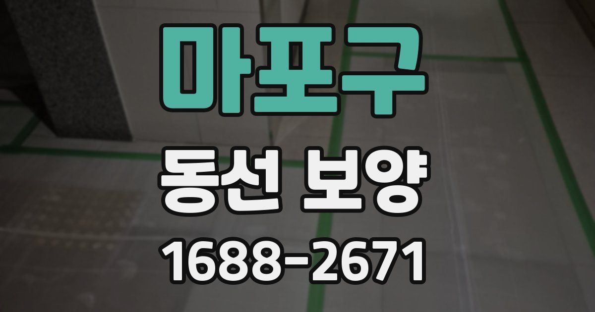 마포구 동선 보양
