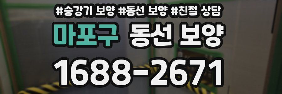 마포구 동선 보양