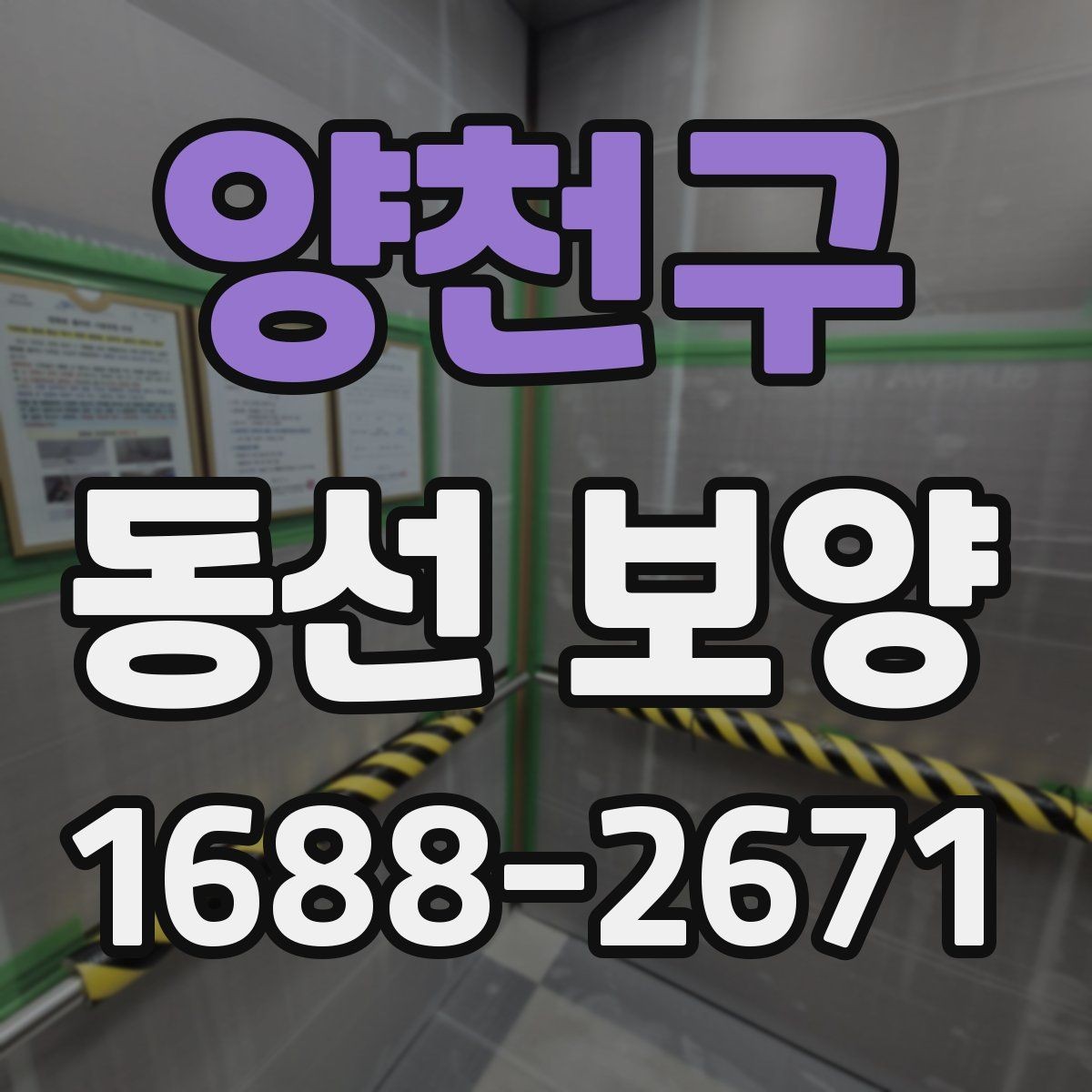 양천구 동선 보양 비용과 품질의 균형 잡기