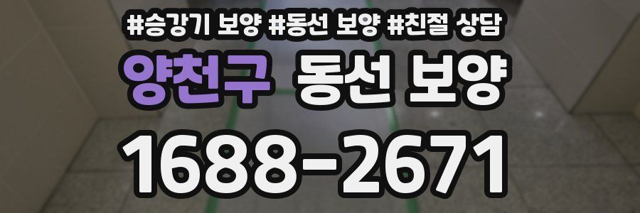 양천구 동선 보양