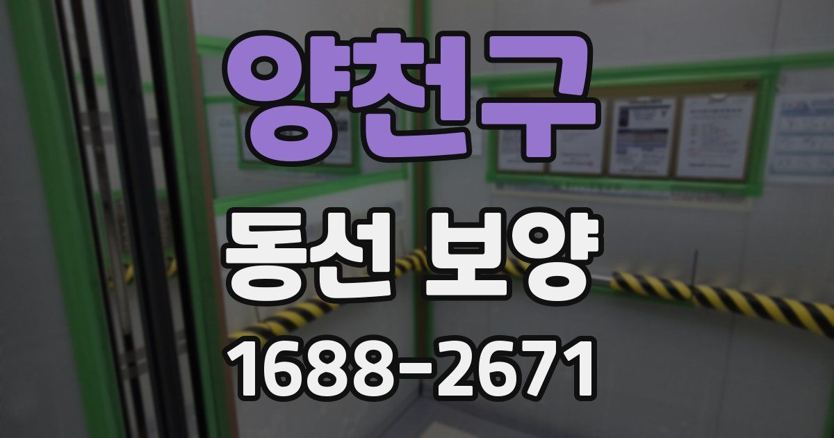 양천구 동선 보양