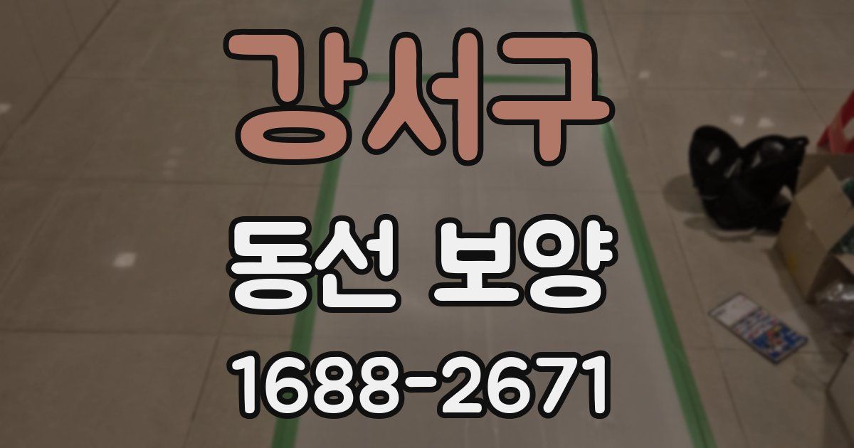 강서구 동선 보양