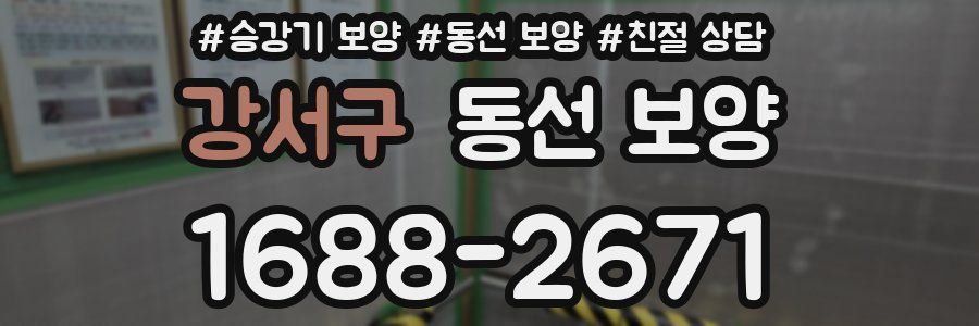 강서구 동선 보양