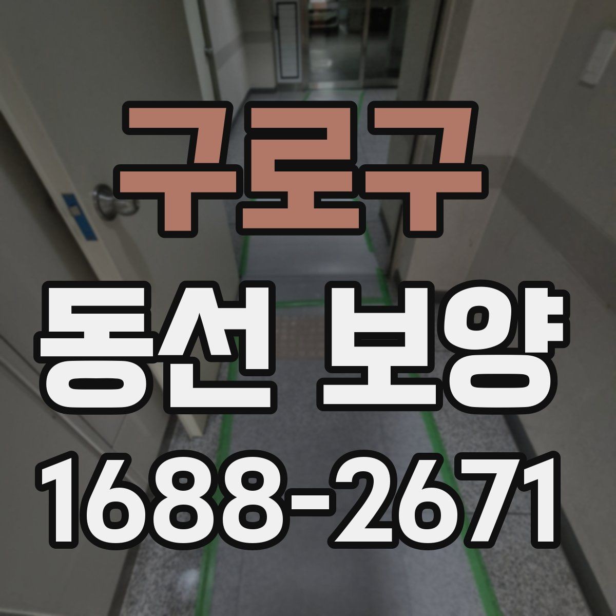 구로구 동선 보양 업체를 볼 때 확인할 기준