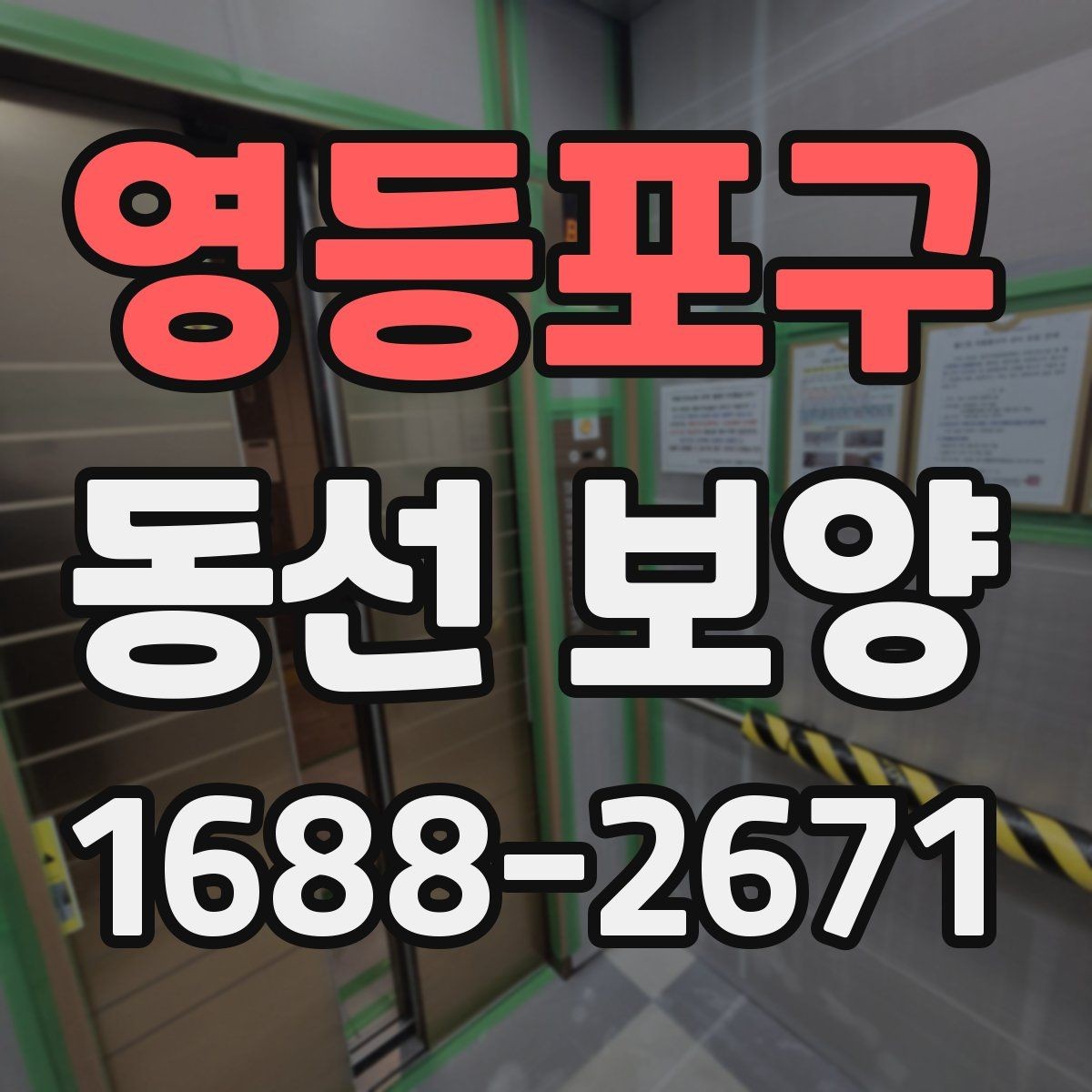 영등포구 동선 보양 적용 사례를 통해 보는 차이