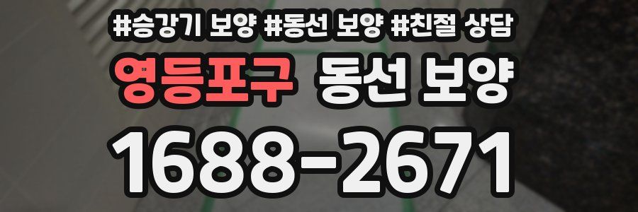 영등포구 동선 보양