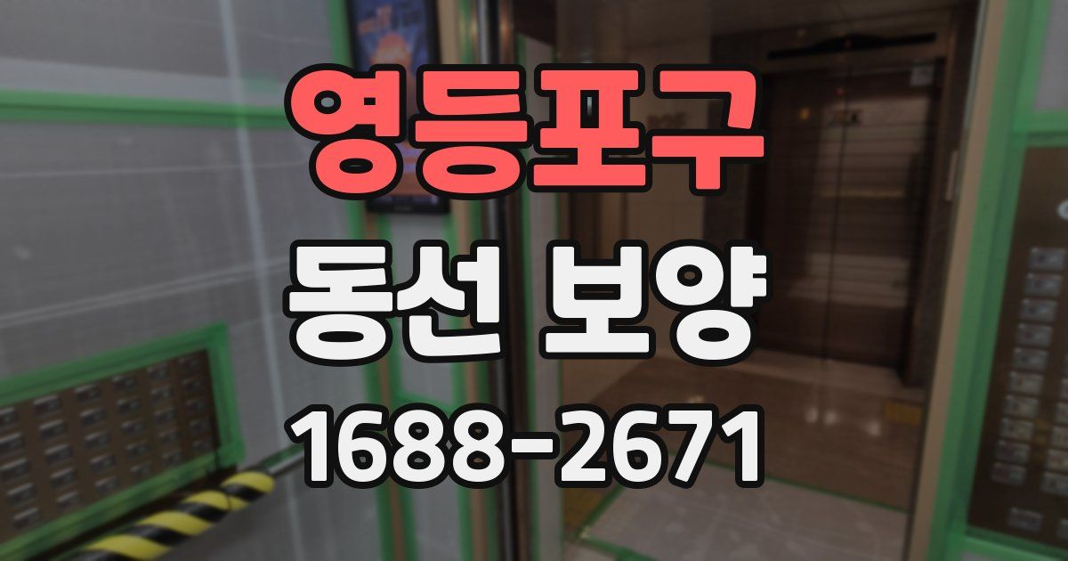 영등포구 동선 보양