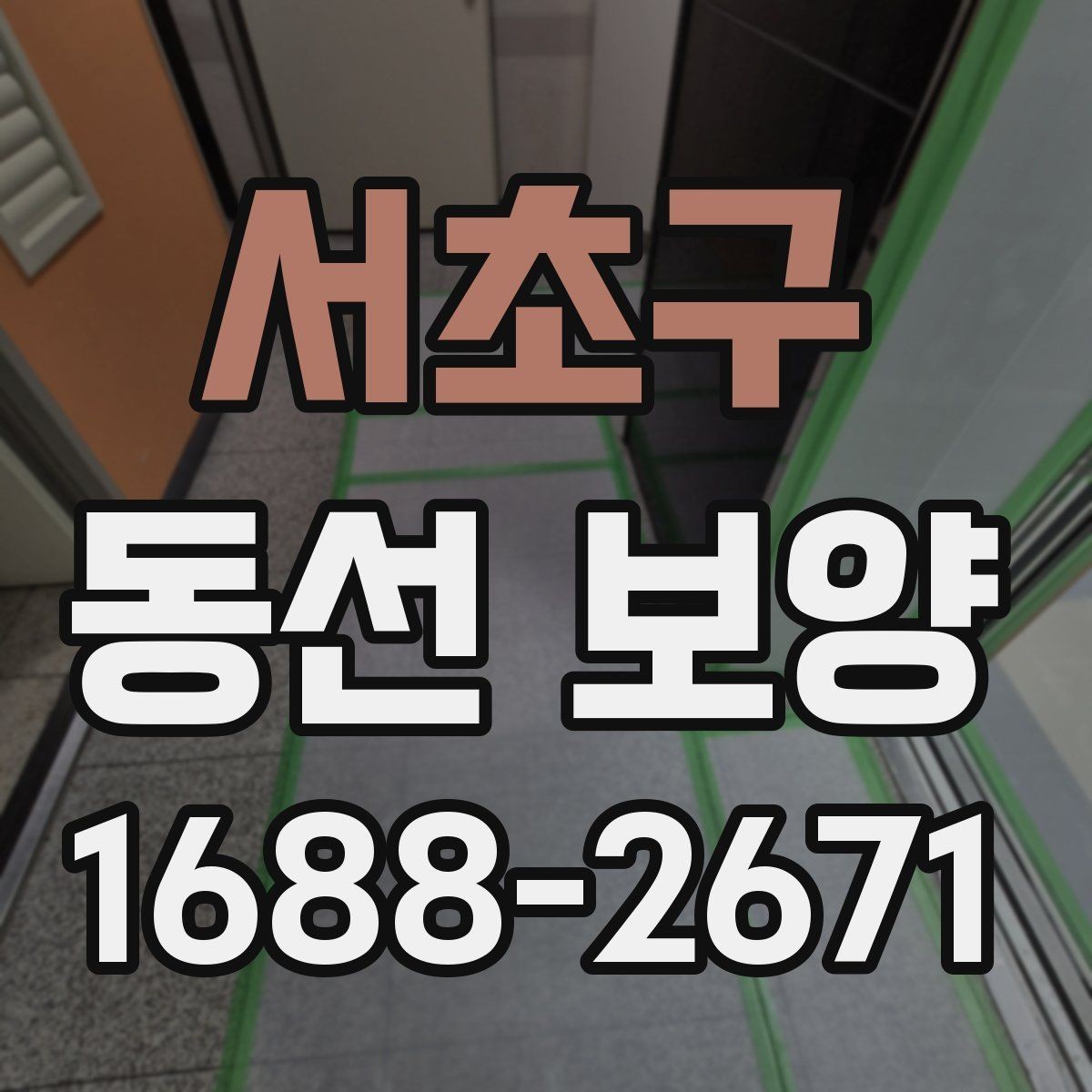 서초구 동선 보양 비용과 범위가 달라지는 상황