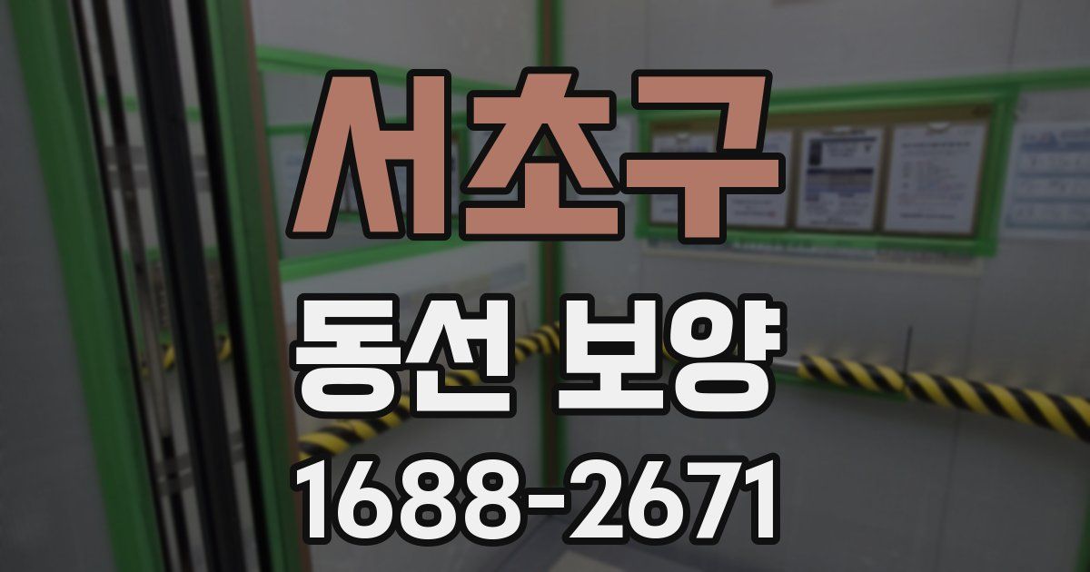 서초구 동선 보양