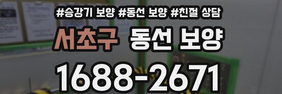 서초구 동선 보양