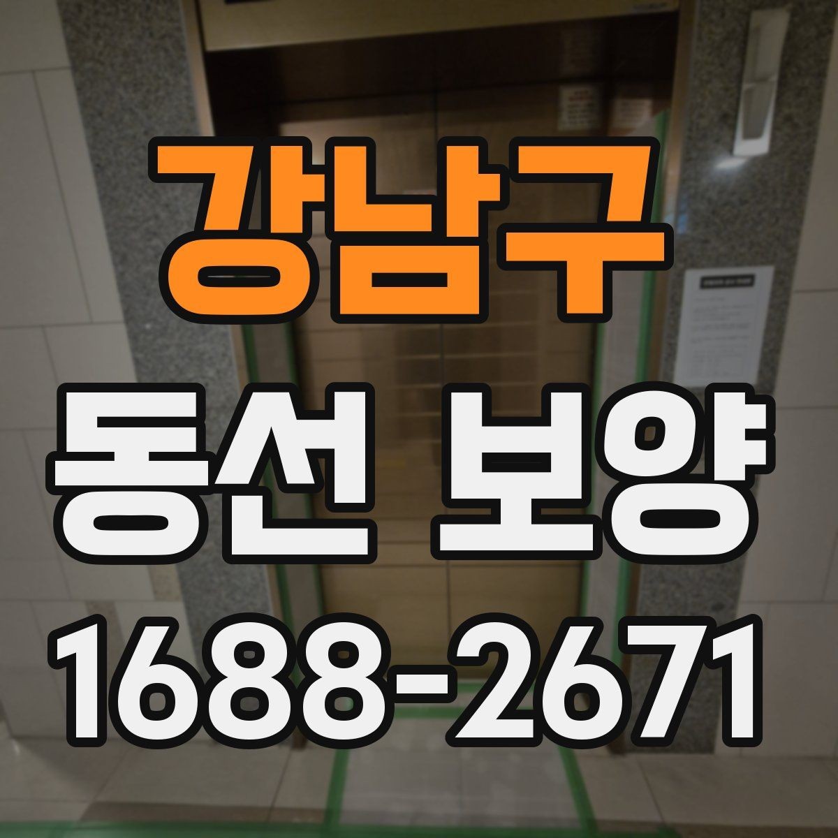 강남구 동선 보양 현장에서 주의할 점 정리