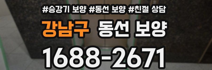 강남구 동선 보양