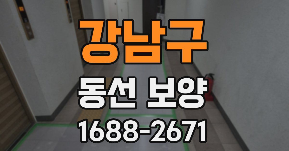 강남구 동선 보양