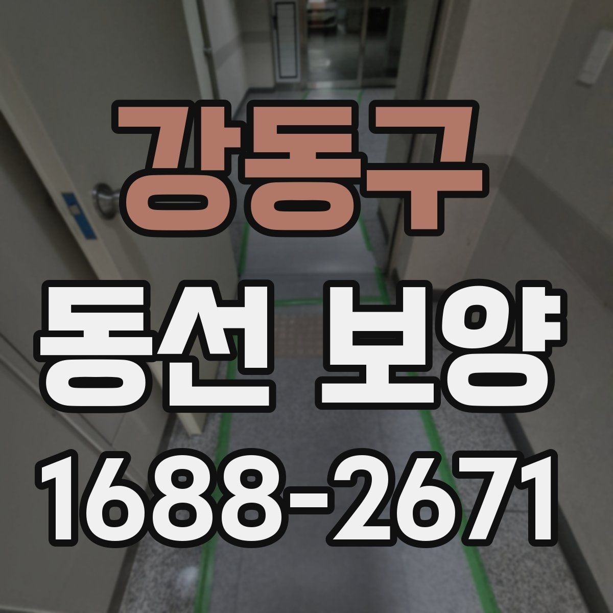 강동구 동선 보양 시공을 맡기기 전 비교 포인트