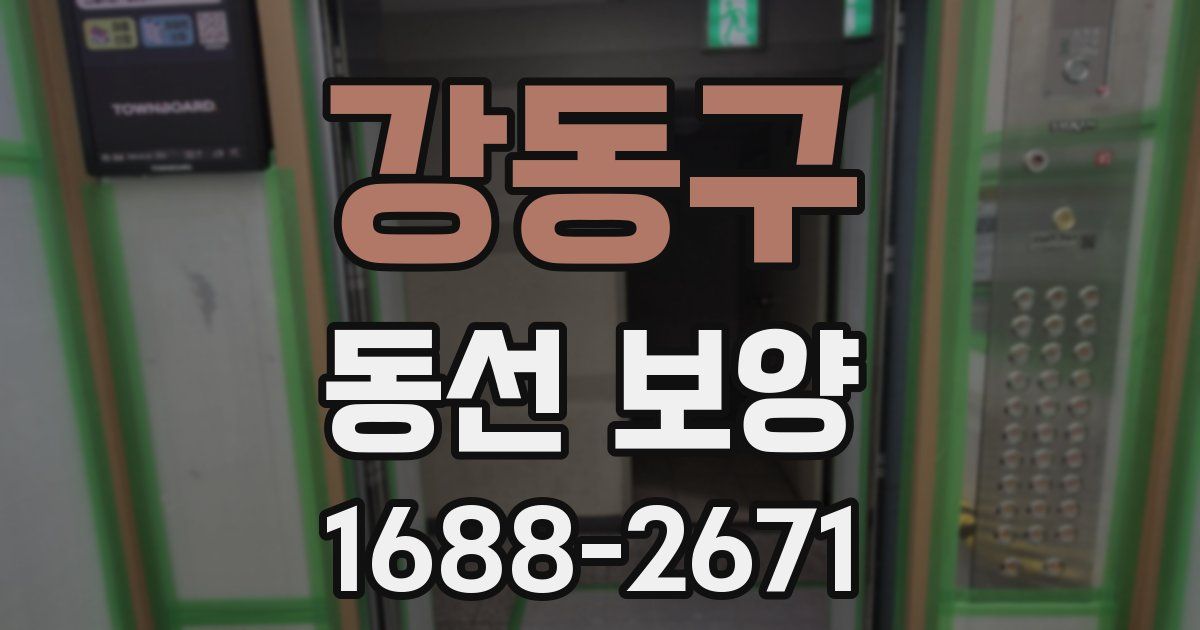 강동구 동선 보양