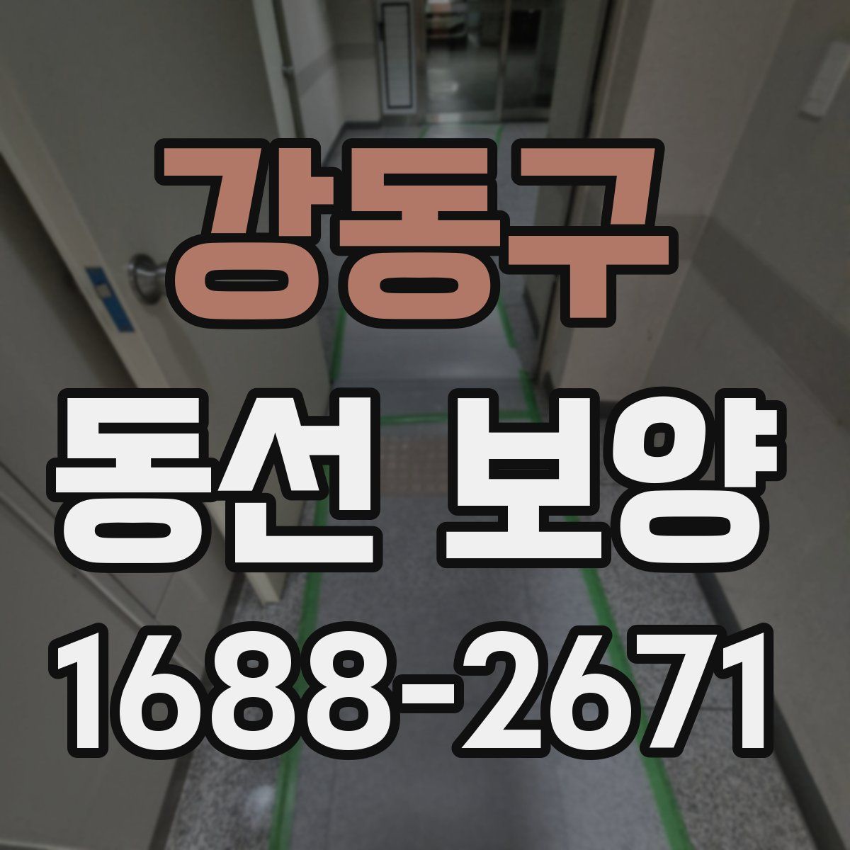 강동구 동선 보양