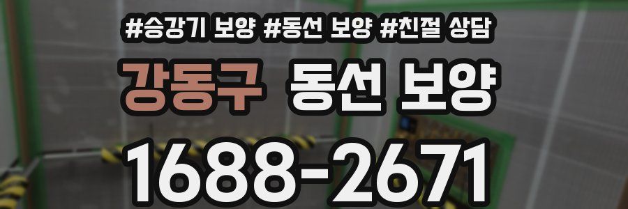 강동구 동선 보양