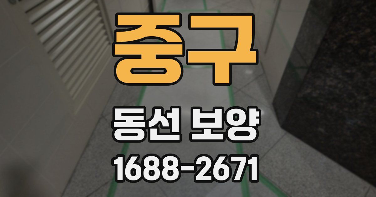 중구 동선 보양