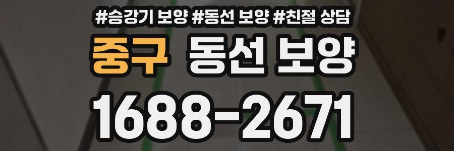 중구 동선 보양