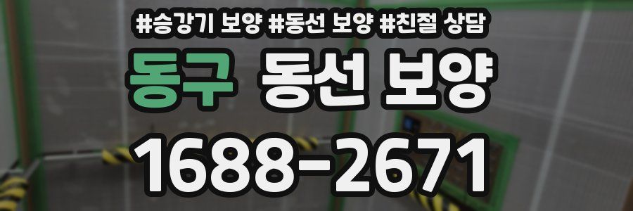 동구 동선 보양