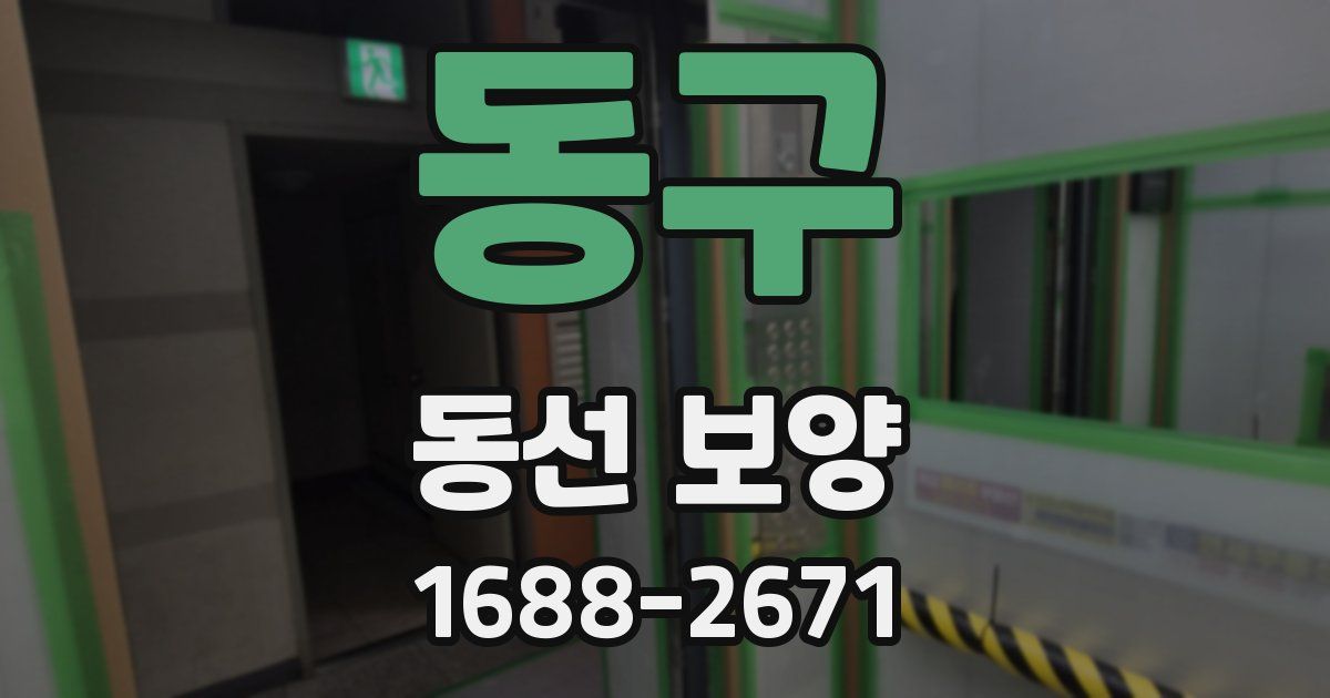 동구 동선 보양
