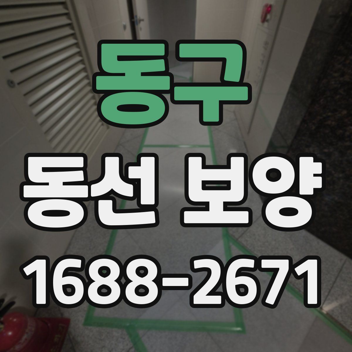 동구 동선 보양