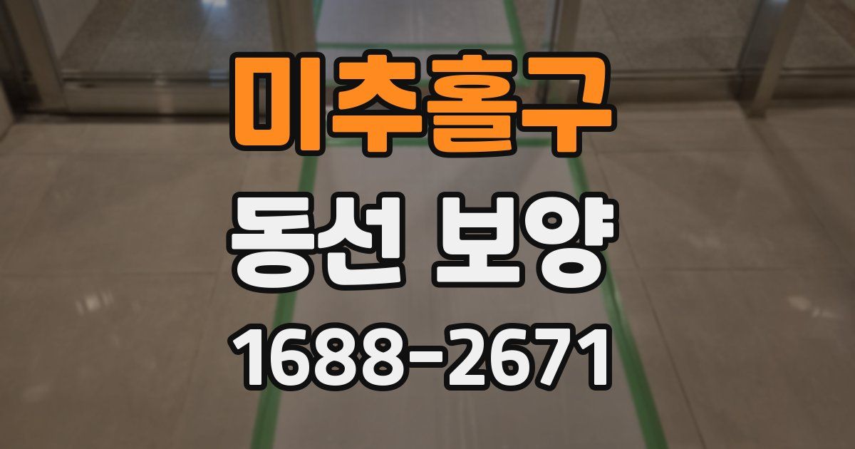 미추홀구 동선 보양