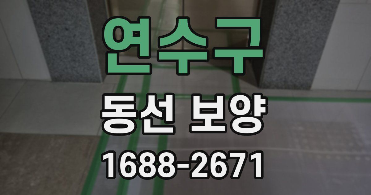 연수구 동선 보양