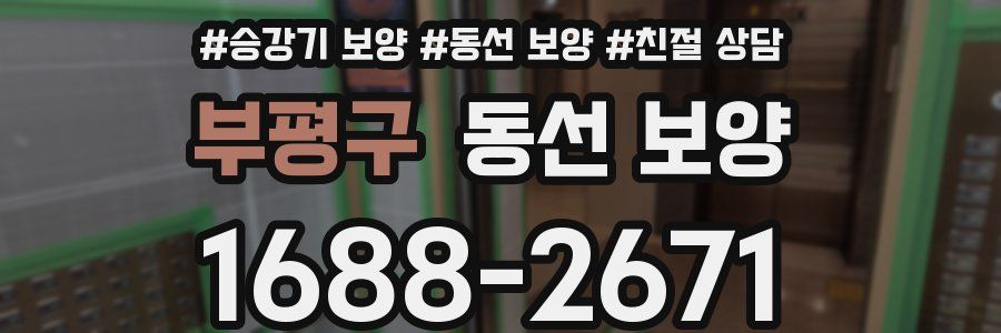 부평구 동선 보양