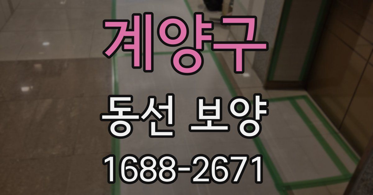 계양구 동선 보양