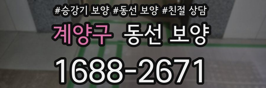 계양구 동선 보양