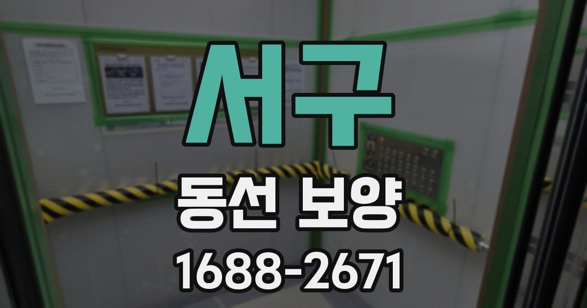 서구 동선 보양