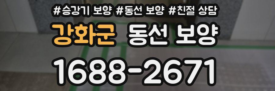 강화군 동선 보양