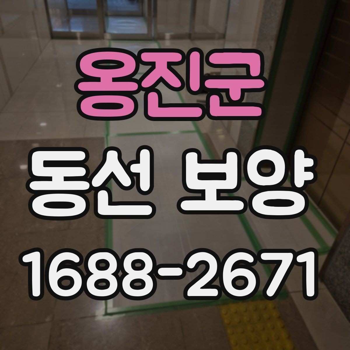 옹진군 동선 보양 선택 전 확인하면 좋은 기준