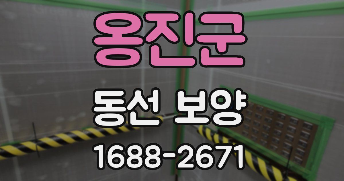 옹진군 동선 보양