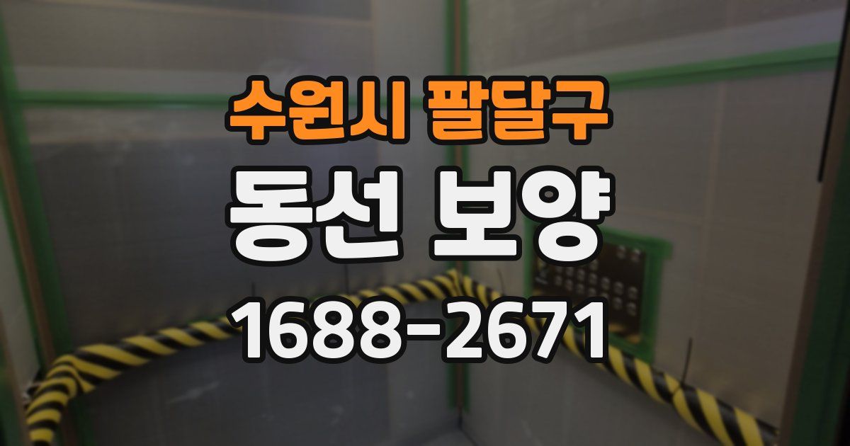 수원시 팔달구 동선 보양