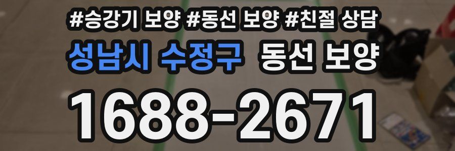 성남시 수정구 동선 보양
