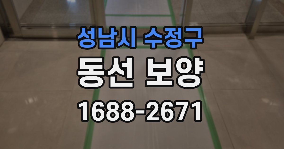 성남시 수정구 동선 보양