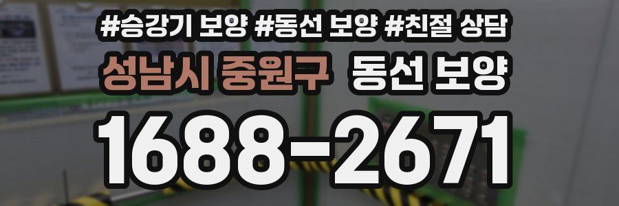 성남시 중원구 동선 보양