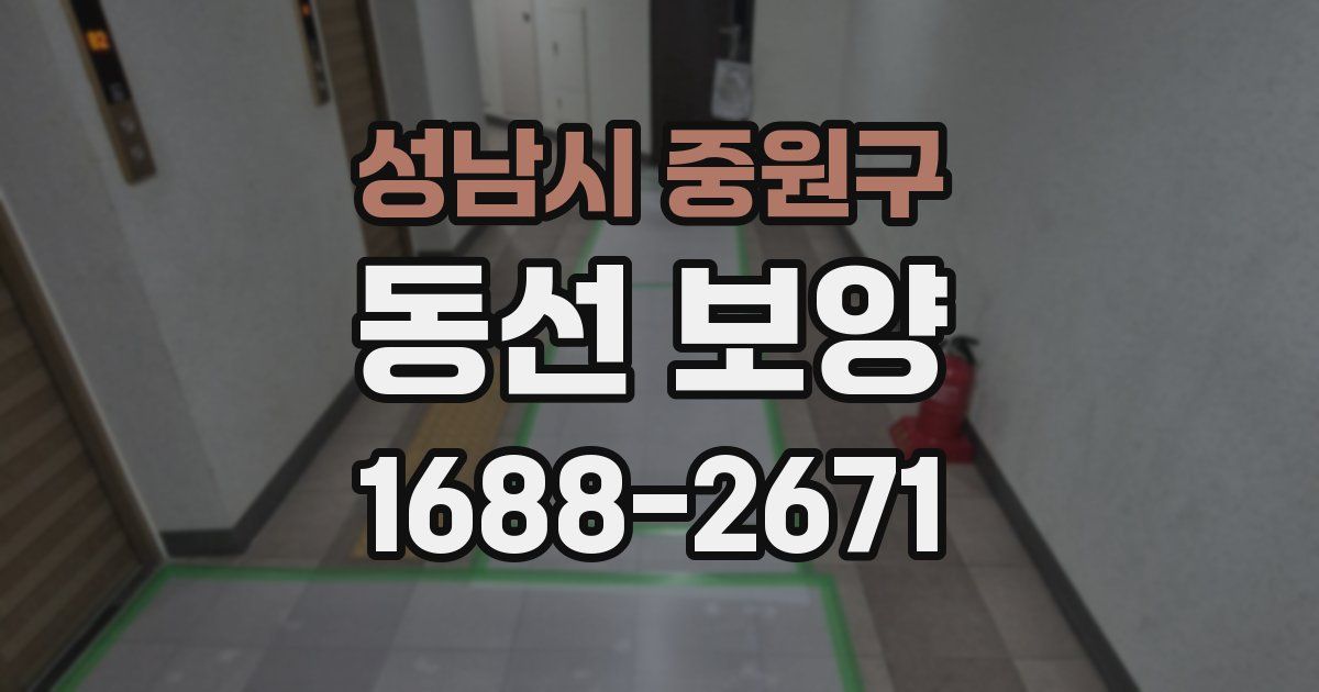 성남시 중원구 동선 보양